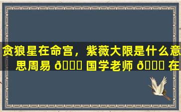 贪狼星在命宫，紫薇大限是什么意思周易 🐈 国学老师 🕊 在线排盘为你解答